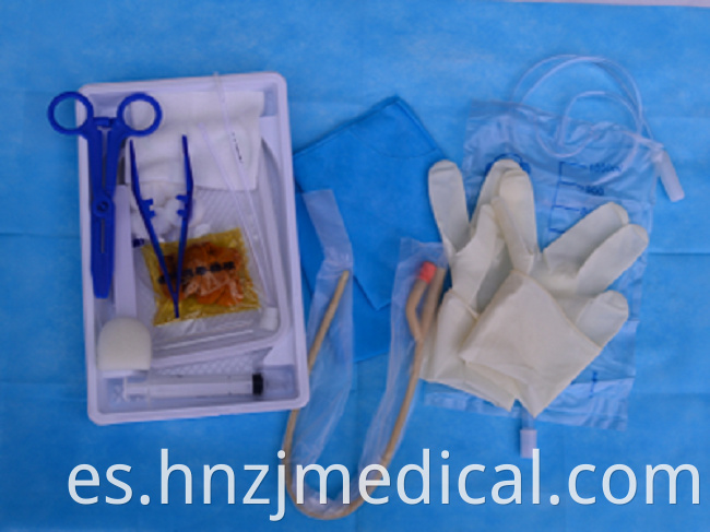 Urinary Catheterization Bag Disposable